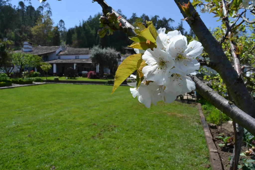 Quintal De Alem Do Ribeiro-Turismo Rural โลซา ภายนอก รูปภาพ