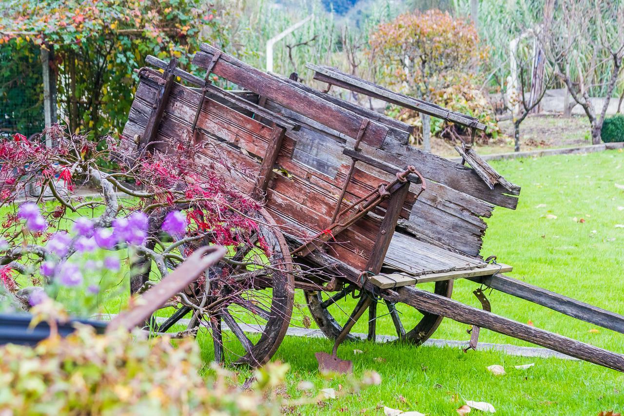 Quintal De Alem Do Ribeiro-Turismo Rural โลซา ภายนอก รูปภาพ