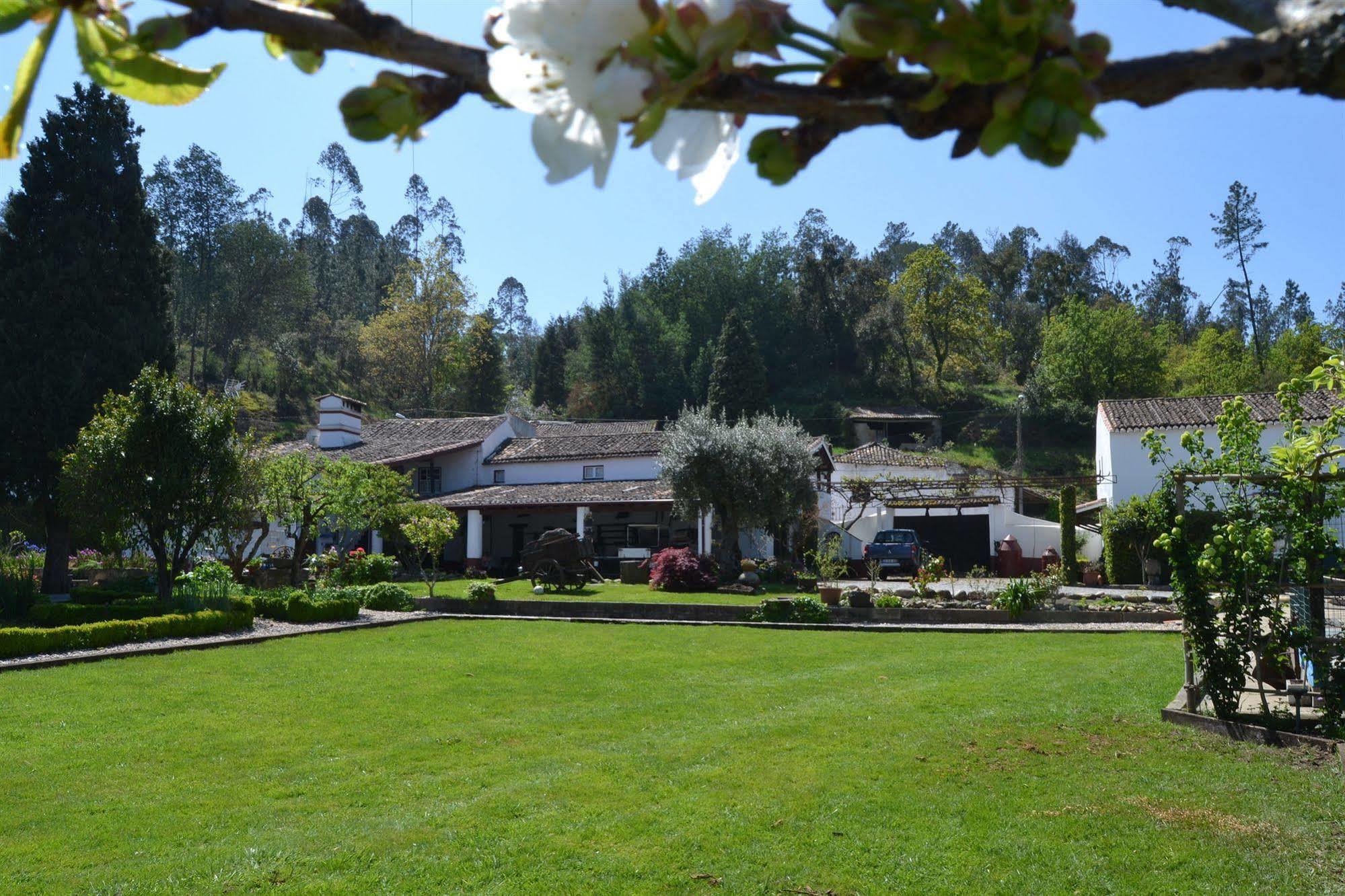 Quintal De Alem Do Ribeiro-Turismo Rural โลซา ภายนอก รูปภาพ